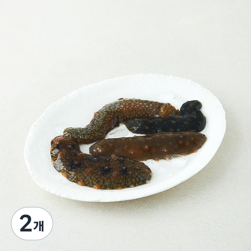 [로켓프레시] 효성푸드주식회사 갯마을 남해안 해삼 (냉장)