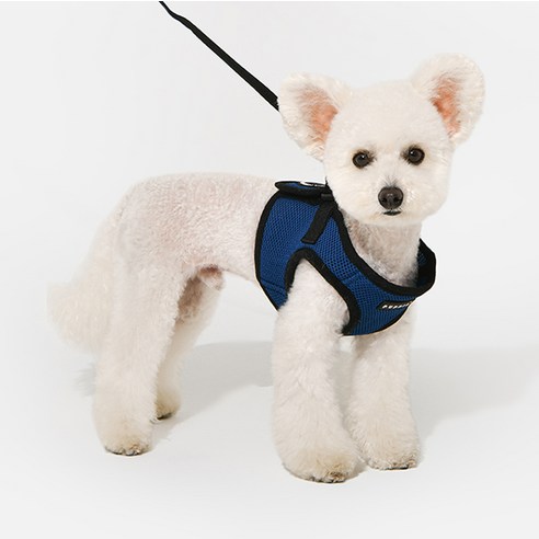 퍼피아 강아지 소프트 베스트 하네스 AH305 B스타일, 로얄블루, XS (가슴둘레 24~26cm, 등길이 5cm), 1개