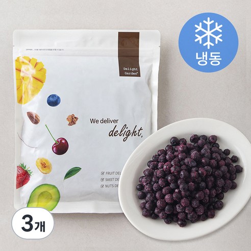 캐나다산 와일드블루베리 (냉동), 500g, 3개