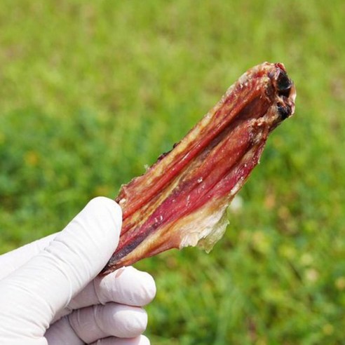 사랑하는 반려견에게 건강과 즐거움을 동시에 선물하세요: 천군맘마 오리날개
