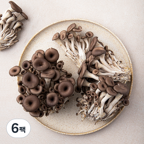 친환경 느타리버섯, 400g, 6팩