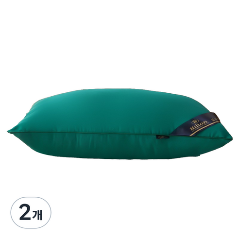 비투윈 편안한 베개솜 500g, 그린, 2개