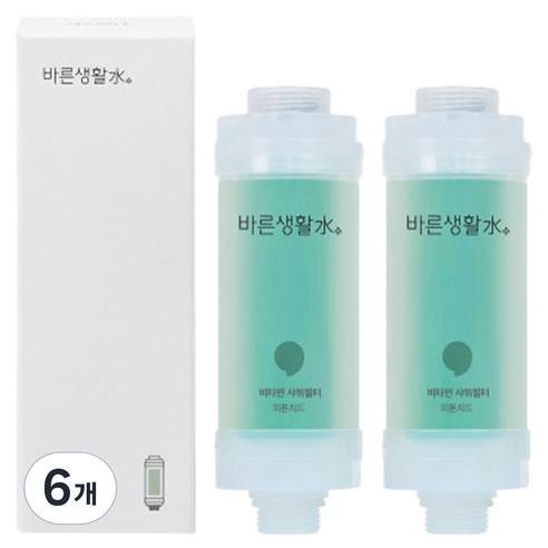 바른생활수 염소 제거 비타민 샤워필터, 6개, 피톤치드