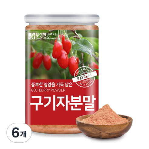 부영한방약초 구기자 분말, 300g, 6개