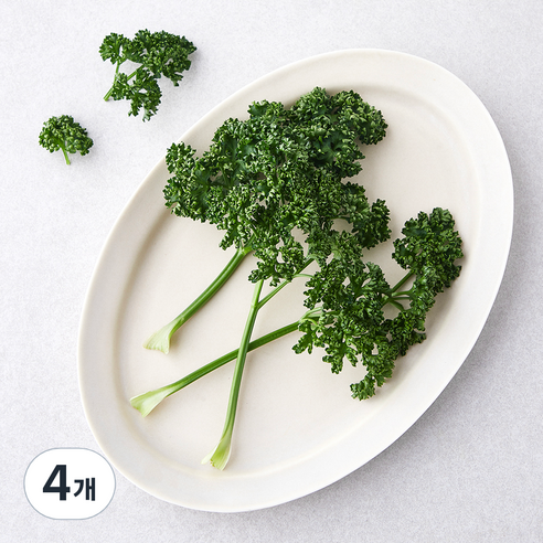 국내산 파슬리, 15g, 4개
