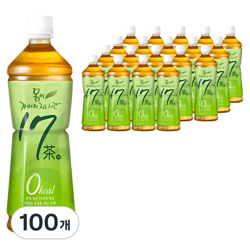 17차 몸이 가벼워지는 시간, 500ml, 100개