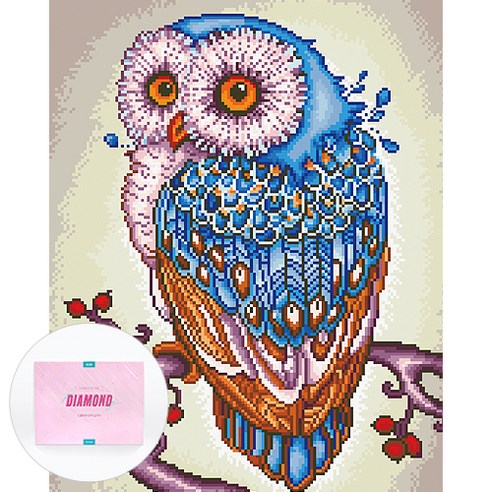 디클레어 액자 캔버스형 보석십자수 DIY 키트 40 x 50 cm, 행운의 부엉이, 1세트