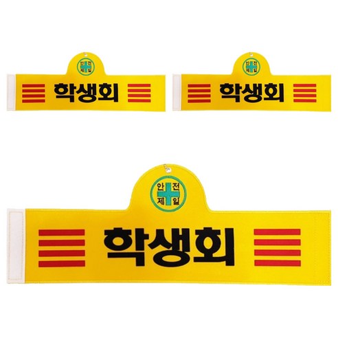대원안전 안전완장 학생회, 3개