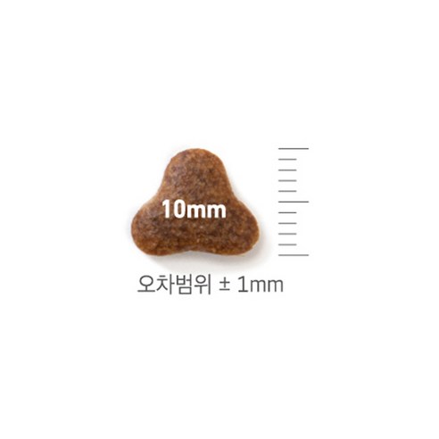 고양이의 전반적인 건강과 안녕을 위한 최적의 영양