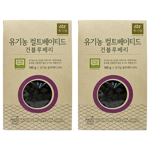 유가원 컬티베이티드 건블루베리, 160g, 2개