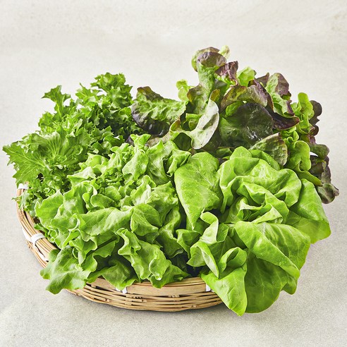 신선함이 식탁에 피어나는 경험, 팜에이트 무농약 유러피안 샐러드 꾸러미