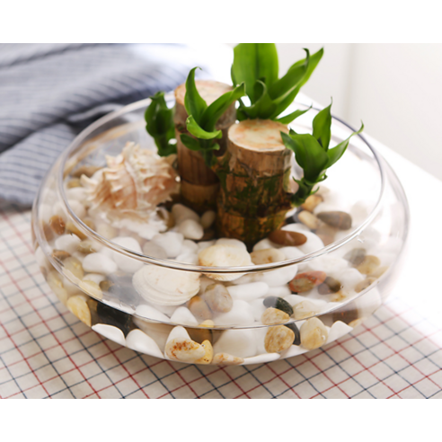 투명한 아름다움으로 당신의 공간을 빛내다