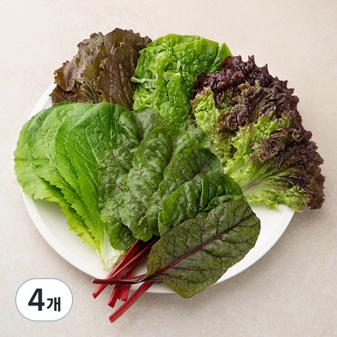 국내산 친환경 야채모듬쌈, 500g, 4개