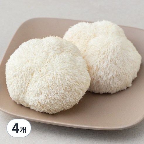 국내산 친환경 노루궁뎅이 버섯, 150g, 4개