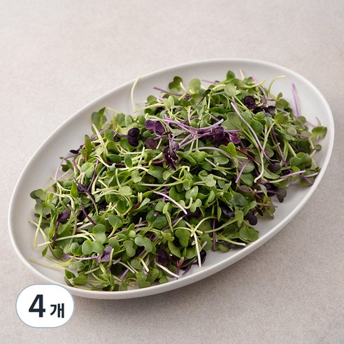 국내산 친환경 어린잎 채소, 200g, 4개