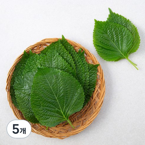 국내산 친환경 깻잎, 100g, 5개