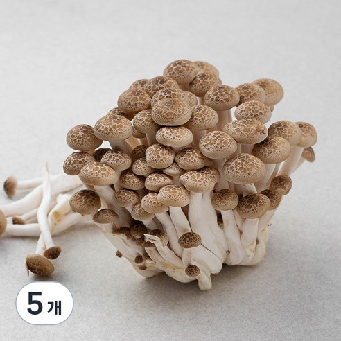 친환경 만가닥버섯, 150g, 5개