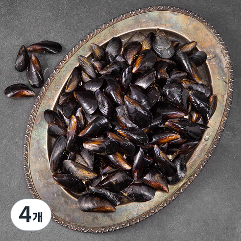남해안 산지직송 생물 홍합 (냉장), 2kg, 4개