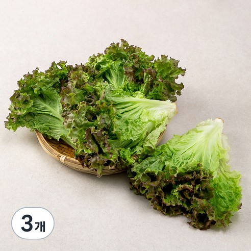 국내산 포기상추, 1kg, 3개