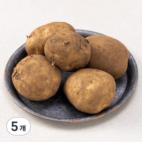 제주 친환경 감자, 1kg, 5개