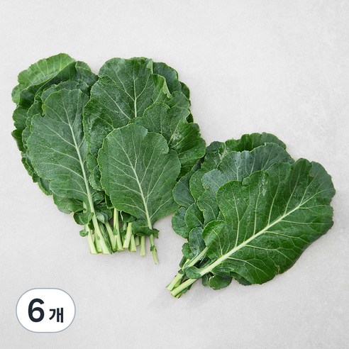 국내산 친환경 케일, 200g, 6개