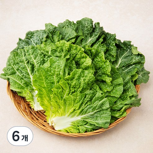 국내산 쌈추, 300g, 6개