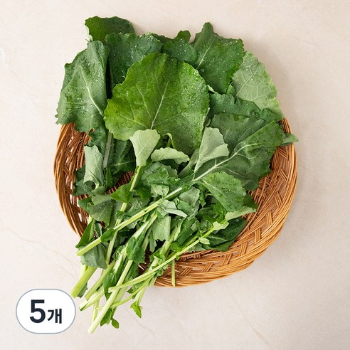 국내산 유채나물, 250g, 5개