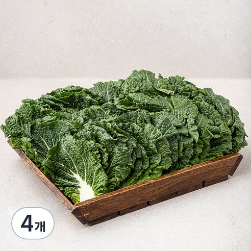 곰곰 국내산 쌈추, 1kg, 4개