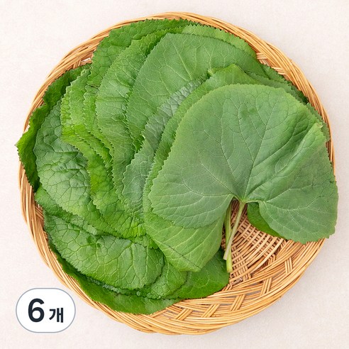 곰곰 국내산 곰취나물, 250g, 6개