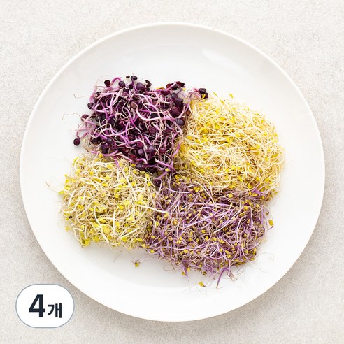 새싹 채소, 50g, 4개