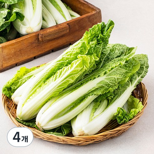 국내산 얼갈이, 4kg, 4개