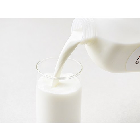 모든 가족을 위한 영양소 풍부한 선택