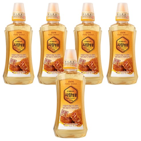 고려인삼 사양벌꿀, 750g, 5개