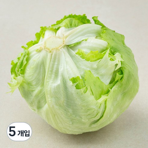 친환경 양상추, 1개입, 5개