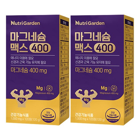 뉴트리가든 마그네슘 맥스400 120정, 2개