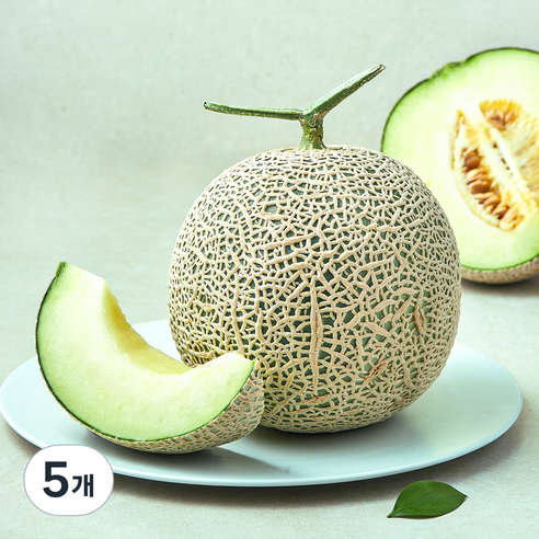 가온누리 머스크 멜론, 5개, 1.6kg