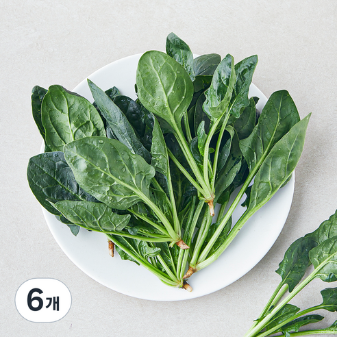 친환경 인증 베이비 시금치, 100g, 6개