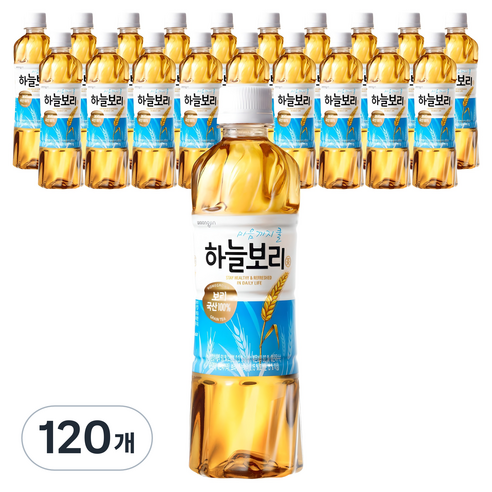 하늘보리 차음료, 500ml, 120개