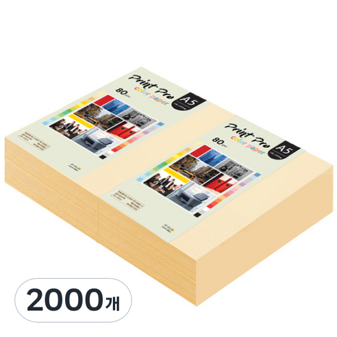 종이문화 프린트 프로 칼라 복사용지 No 02 아이보리 80g, A5, 2000개