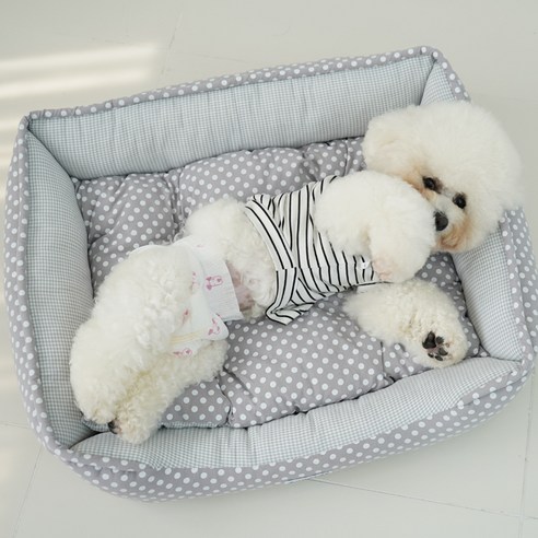 레드퍼피 반려동물 스토리 모던쿠션, 그레이