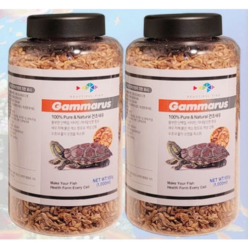 거북이의 건강과 행복을 위한 오색찬란한 영양 만찬, 레인보우 감마루스