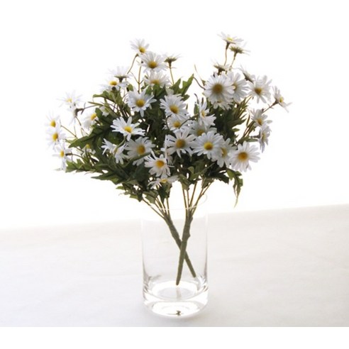 시들지 않는 싱그러움, 리얼 데이지 조화로 일상에 생기를 더하세요