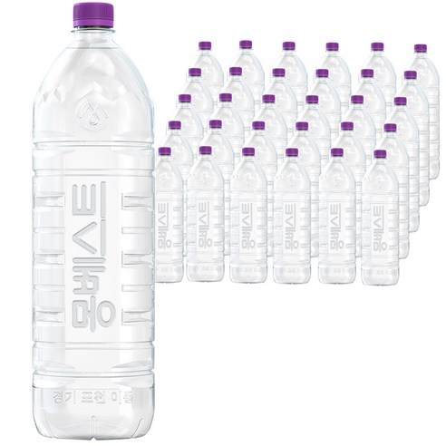 몽베스트 위드어스 무라벨 생수, 48개, 2L