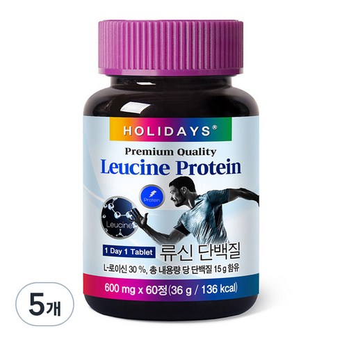 홀리데이즈 류신 단백질, 60정, 5개