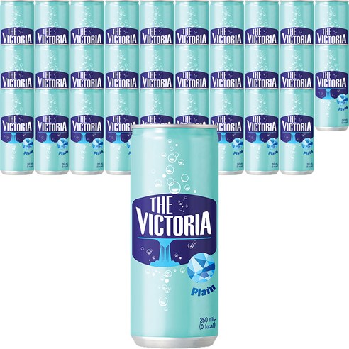 더빅토리아 플레인, 350ml, 48개