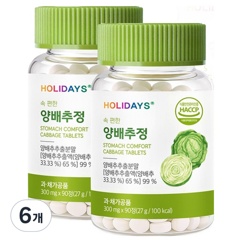 홀리데이즈 속 편한 양배추정