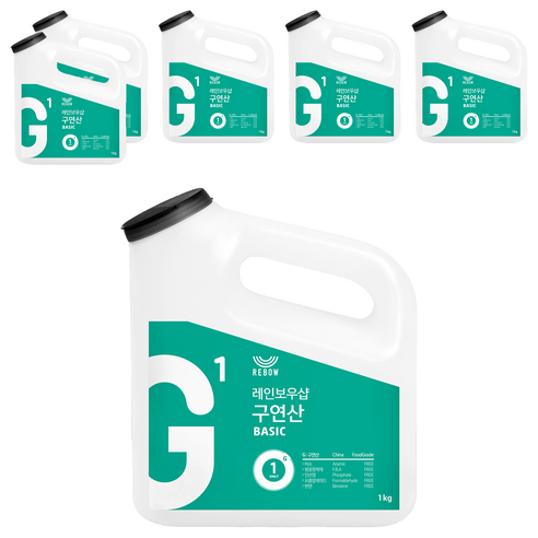 레인보우샵 G1 구연산 베이직 왕톡톡이, 1kg, 6개