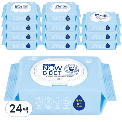 블루나 나우비데 물티슈 캡형 60gsm, 50매입, 24개