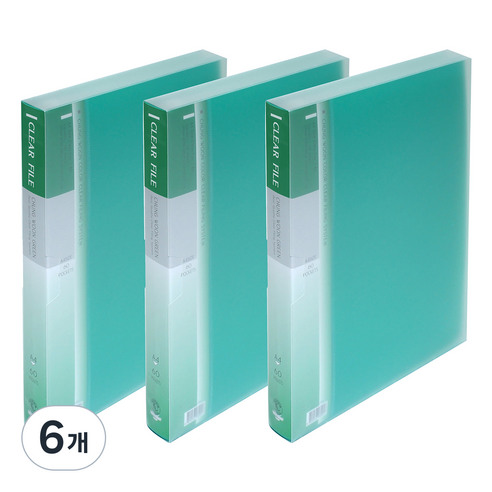 에코청운 PP 클리어화일 60p 메탈장식 A4, 초록, 6개