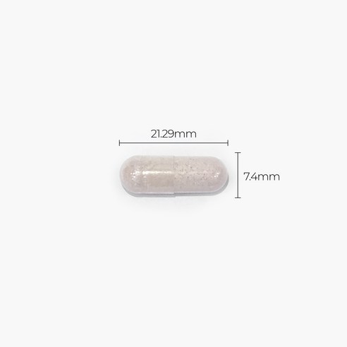 소화 건강과 면역력 향상을 위한 혁신적 유산균 제품